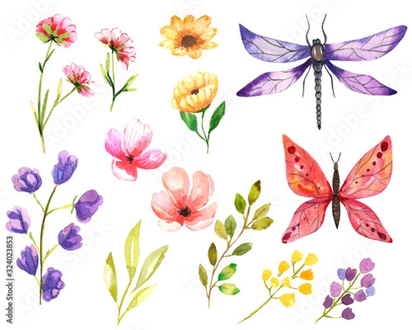 Fototapeta Watercolor illustration.