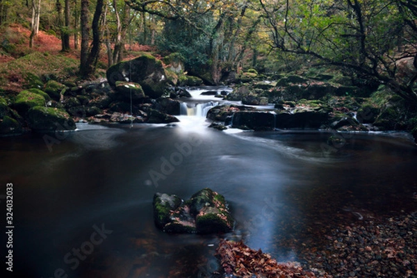 Obraz River in the woods