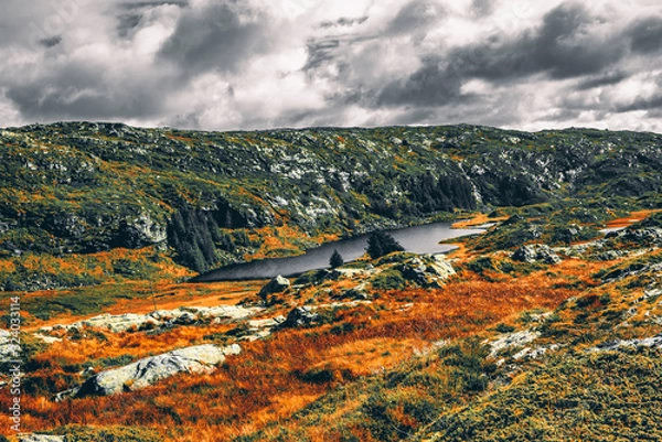 Obraz Norway Norge Norwegia