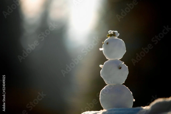 Obraz snowman on a blue background