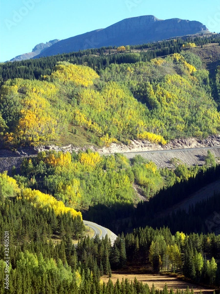 Fototapeta Driving Through Gold