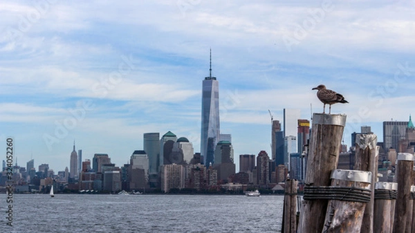 Obraz Vue de New York