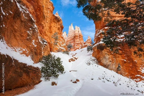 Obraz Bryce Canyon Winter Snow