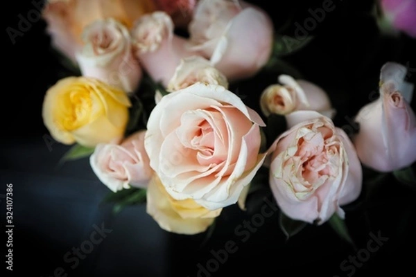 Fototapeta Aged Roses