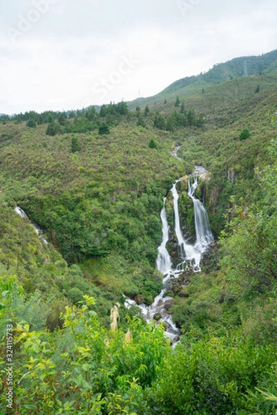 Fototapeta Waipungu Waterfall deep in New Zealand bush just off Napier Taupo highway, New Zealand