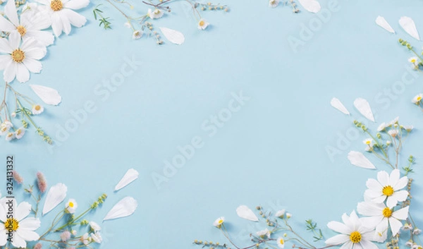 Obraz white flowers on paper background