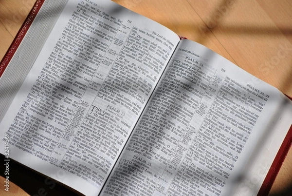 Obraz The Holy Bible