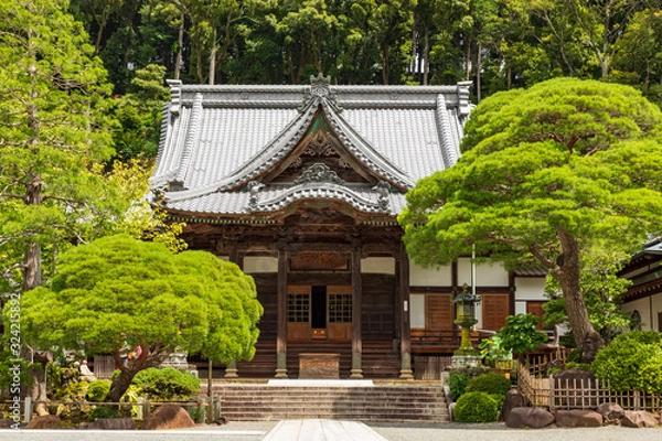 Fototapeta 修善寺