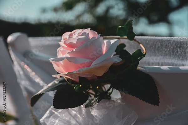 Obraz wedding roses decoration