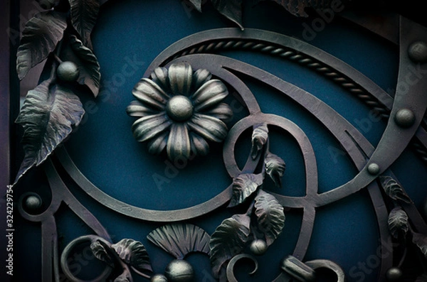 Obraz Beautiful metal gate with wrought iron elements