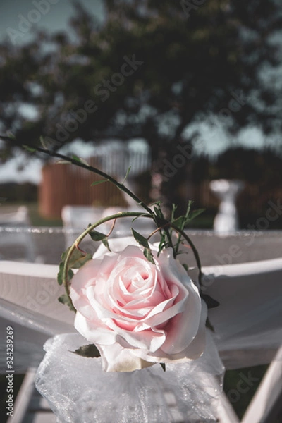 Obraz wedding rose decoration