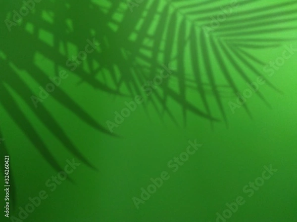 Fototapeta shadow leaf on green background
