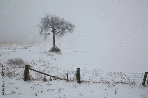 Obraz winter landscape with trees and snow