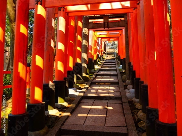 Fototapeta Inari corridor in the morning