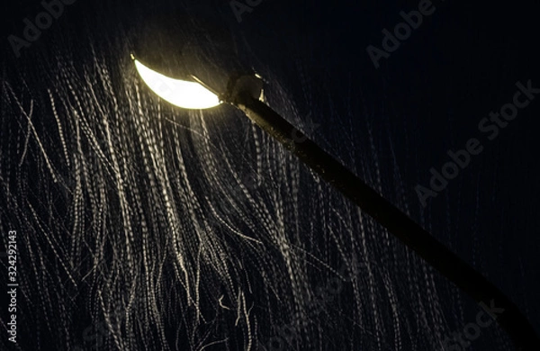 Fototapeta light from a lantern illuminates falling snow