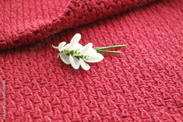 Obraz FIRST SNOWDROWS  AND KNITTED BACKGROUND