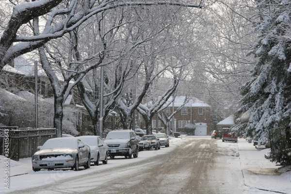 Obraz Snowy day, winter