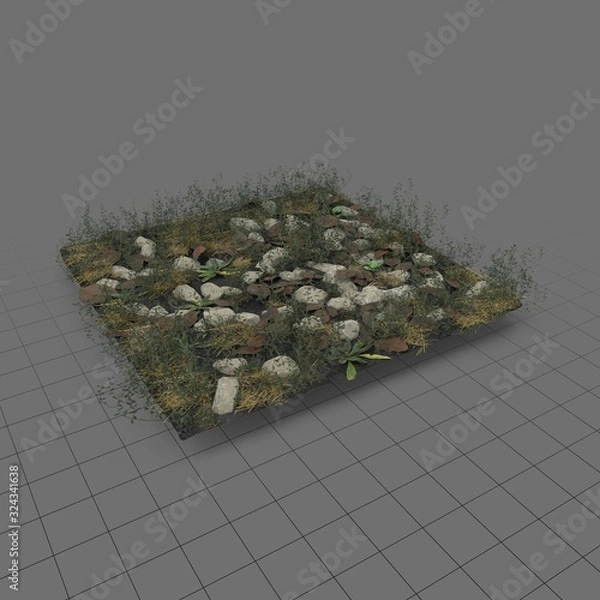 Obraz Łąka rdestowa