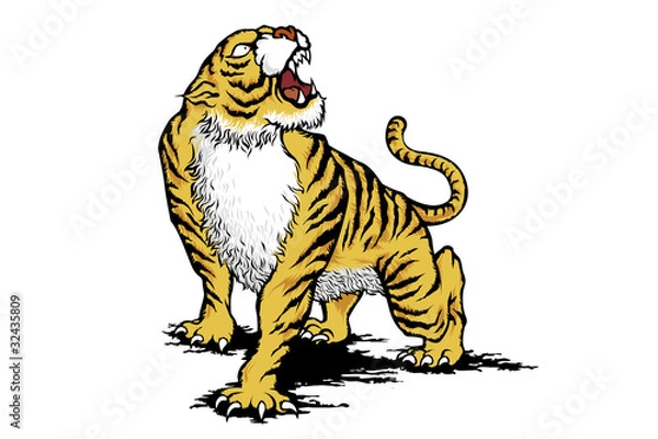 Fototapeta タイガー