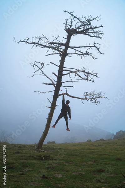 Fototapeta Young man hanging from a leaning tree on a foggy day in Basque Country coast