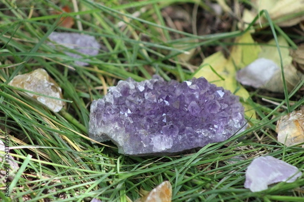 Obraz Amethyst in the grass