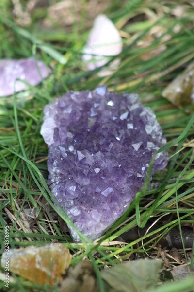 Obraz beautiful Amethyst