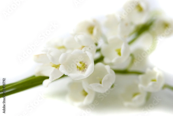 Obraz ландыши