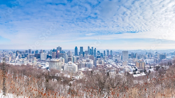 Obraz Panorama view of Montreal skyline view from Kondiaronk belvedere on mount royal in winter