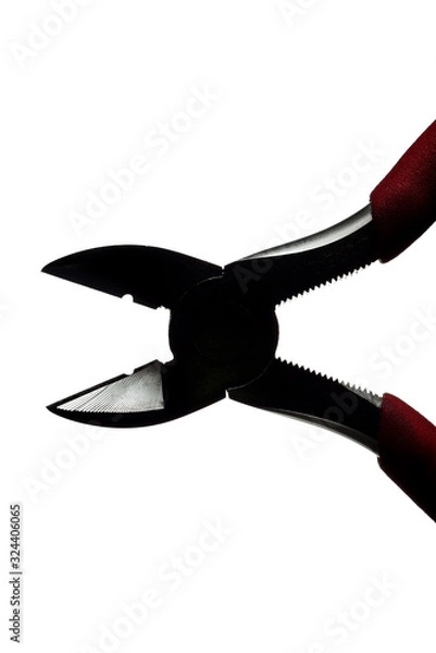 Fototapeta ニッパー