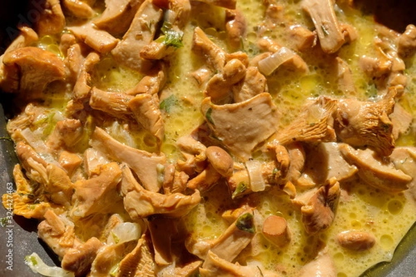 Fototapeta Chanterelle mushrooms are stewed in sour cream in a deep pan.