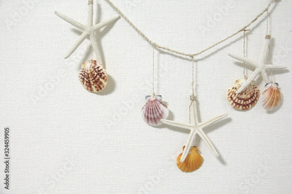 Obraz マリンテイストの背景　ヒトデと貝