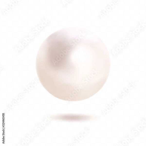 Fototapeta Vector pearl isolated on transparent background. 