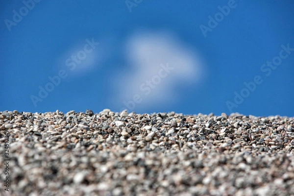 Obraz shingle twenty-six