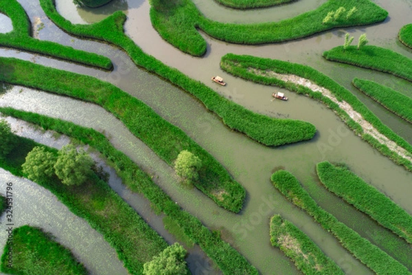 Obraz Aerial photo of reed maze in Dazhong lake, Yancheng City, Jiangsu Province, China