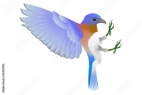 Obraz blue and orange birdy