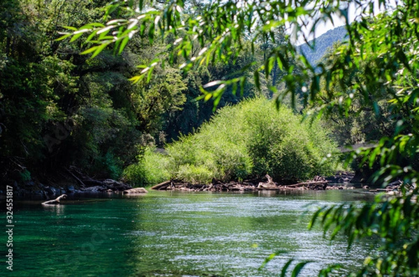 Obraz pond in the park