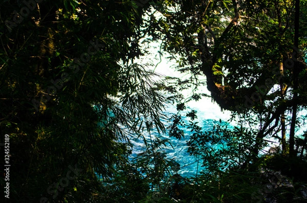 Obraz river in the forest
