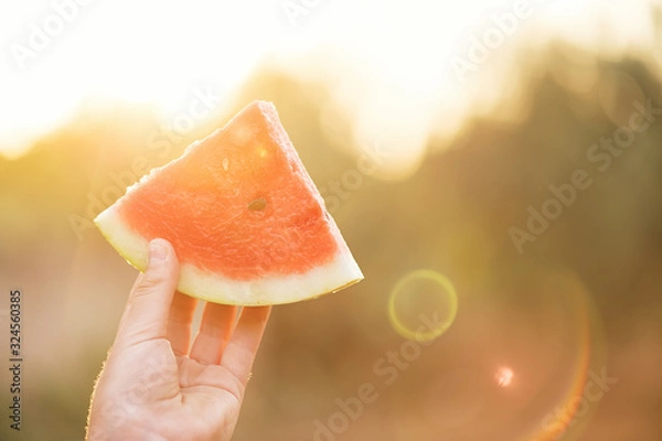 Fototapeta The boy holds a piece of watermelon in his hand and holds it out, selective focus, lens effect. Summer concept, fresh and happy.