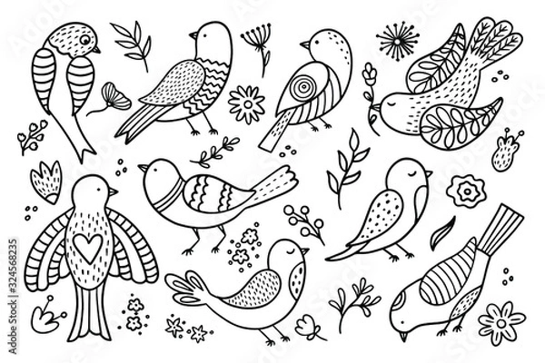 Fototapeta Hand drawn illustration with spring birds