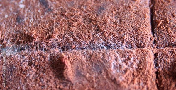 Fototapeta Close-up of white mould on chocolate.Fungus on cocoa powder.Texture.