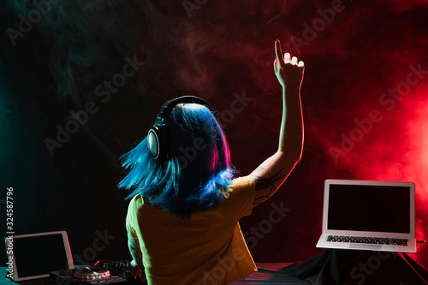 Obraz Back view female dj at monitors