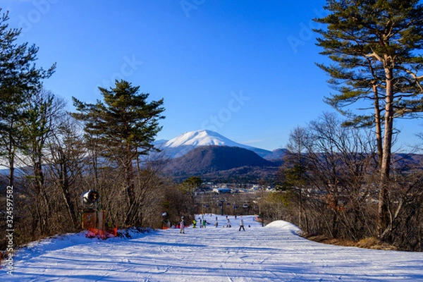 Obraz 冬　軽井沢スキー場から見る浅間山