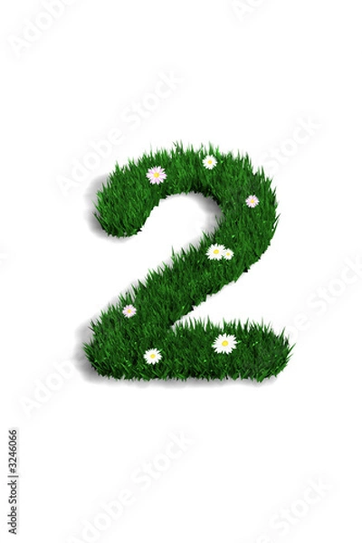 Fototapeta chiffre 2 pelouse fleurie