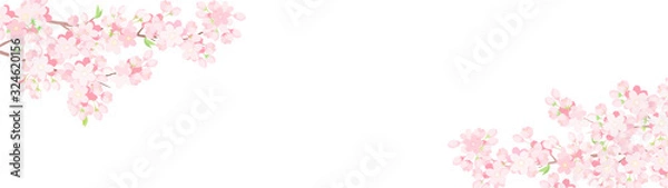 Obraz 桜　背景　横長