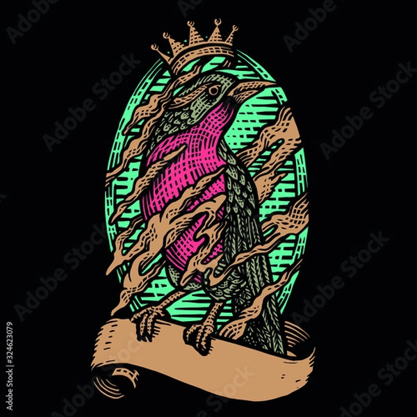 Fototapeta bird of prey