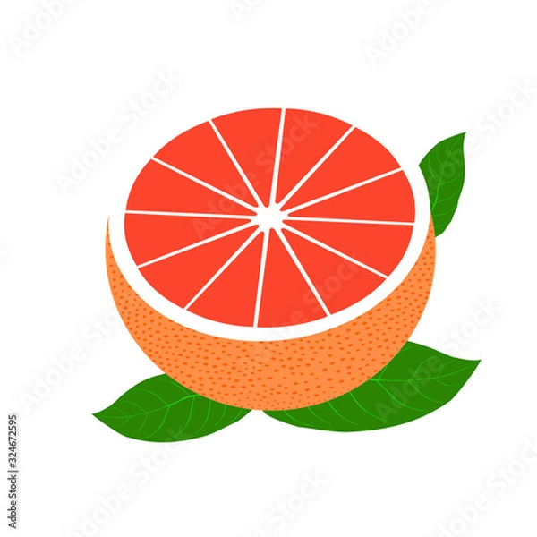 Fototapeta Vector realistic half grapefruit with  leaves. Fresh and juicy grapefruit. Fruit illustration with flat design.