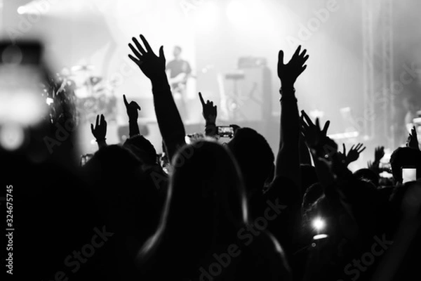 Fototapeta People having fun with their hands in the sky at the live music concert