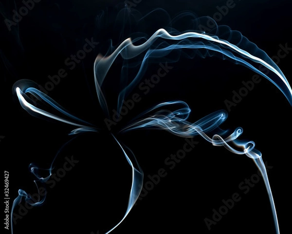 Obraz State that are inhaled smoke