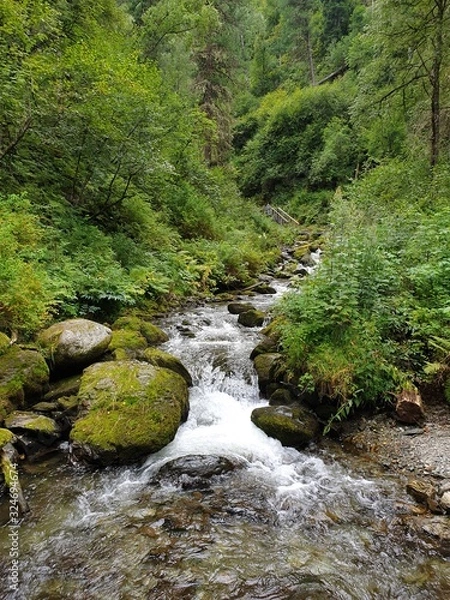 Obraz waterfall in forest
