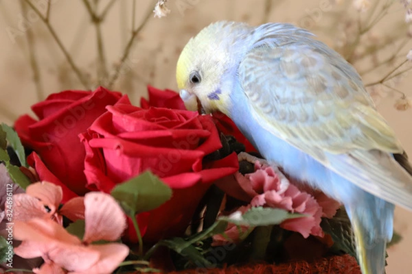 Obraz セキセイインコ パステルレインボーと花束